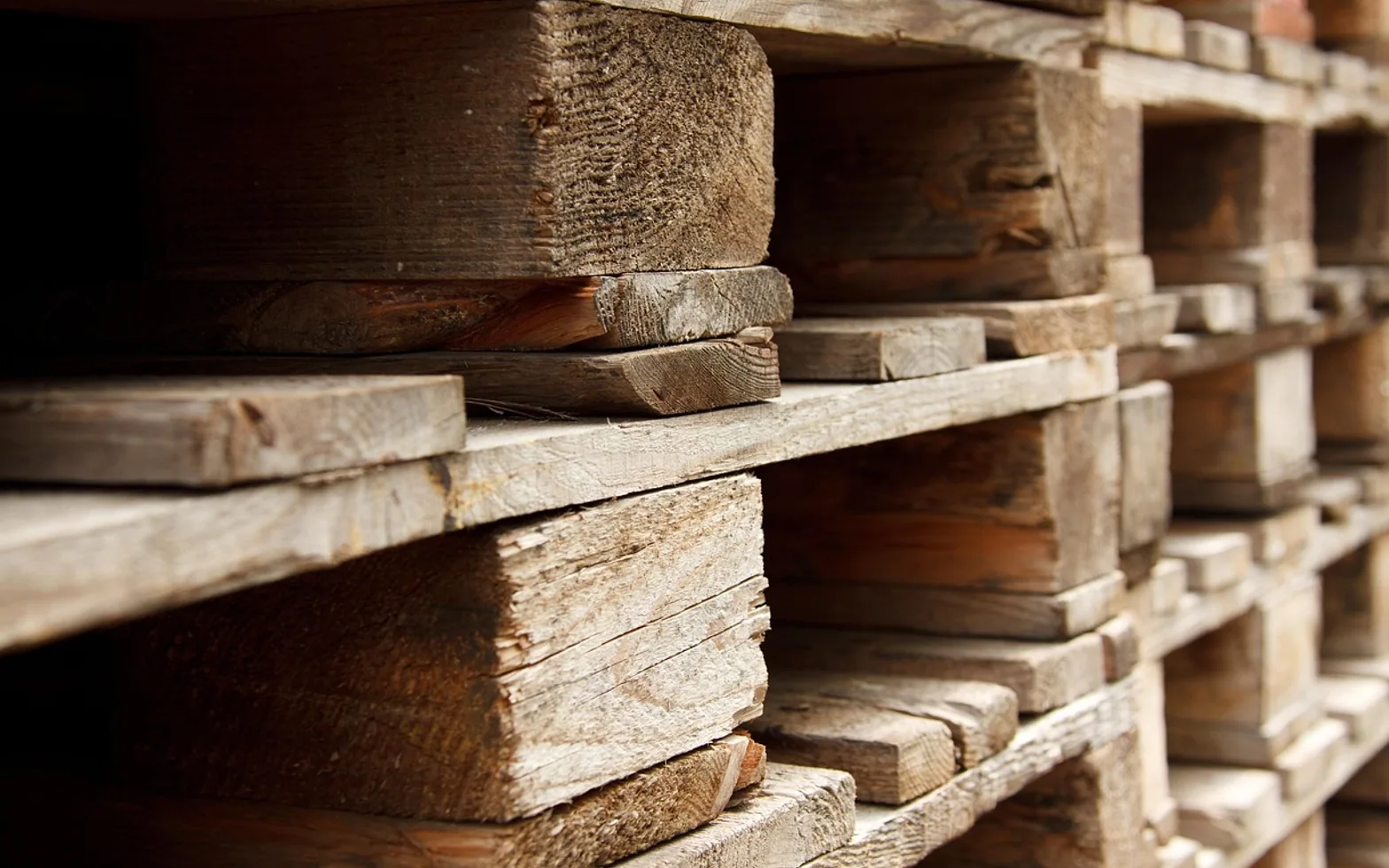 Business, cargo and freight
