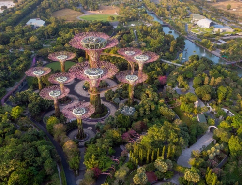 Thriving in the Lion City: A Complete Guide to Relocating to Singapore