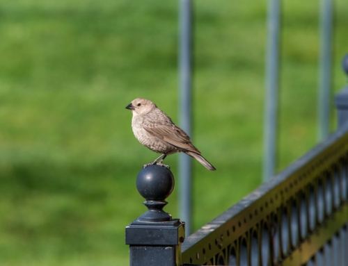 Bright Savings: How Low Voltage Lighting Can Cut Your Energy Costs